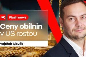 XTB: Flash news: Ceny obilnin v US rostou o 5%