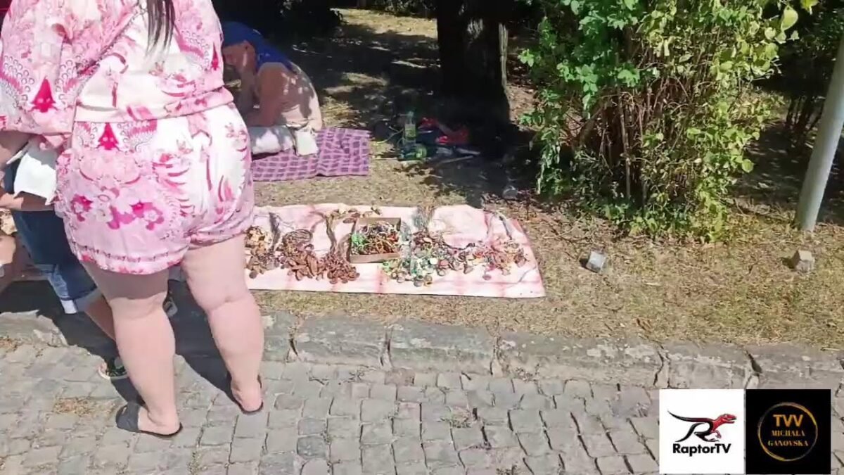 Naživo z Nitry