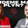 Tibor GAŠPAR: EÚ NEPOSKYTLA ZÁRUKY!
