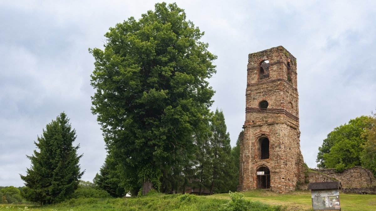 Začalo verejné hlasovanie v ankete Strom roka 2025