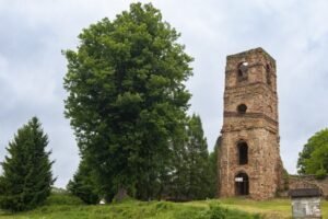 Začalo verejné hlasovanie v ankete Strom roka 2025