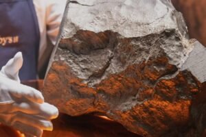 Najväčší kus Marsu na Zemi: Meteorit NWA 16788 na aukcii Sotheby’s
