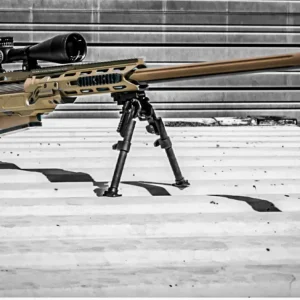 Puška s najdlhším dostrelom v izraelskej službe: Americká TAC-50 zasahuje ciele ...
