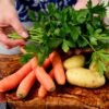 Cícerová zmes so zeleninou na vegánsku večeru