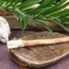 Drievko Miswak – prírodné čistenie zubov