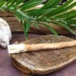Drievko Miswak – prírodné čistenie zubov