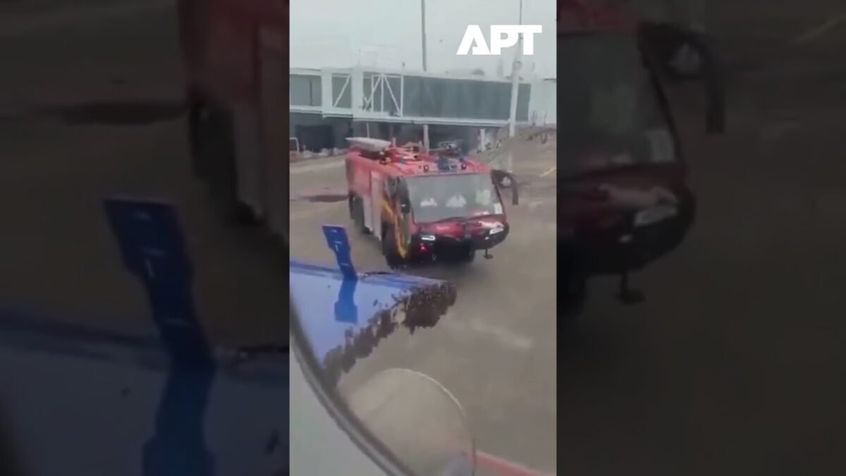IndiGo let Surat-Jaipur oneskorený kvôli roju včiel na batožinových dverách