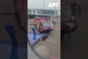 IndiGo let Surat-Jaipur oneskorený kvôli roju včiel na batožinových dverách