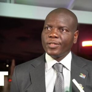 Juhoafrický minister zahraničia žiada viac afrických štátov v BRICS na summite 2...