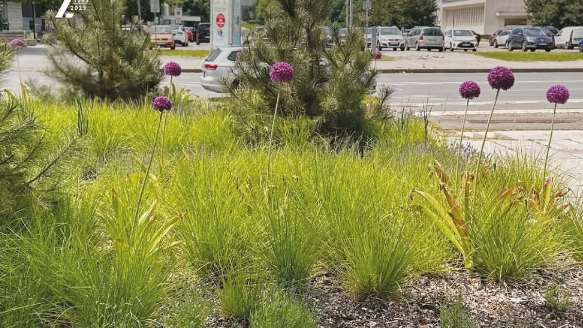 Mesto Banská Bystrica: NOVÉ ČÍSLO RADNIČNÝCH NOVÍN JE TU Mesto Banská Bystrica: NOVÉ ČÍSLO RADNIČNÝCH NOVÍN JE TU