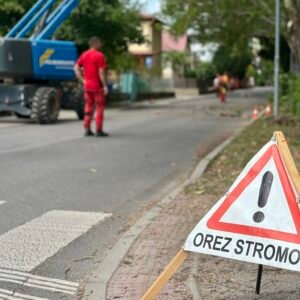 Mesto Banská Bystrica: ZAČALO SA S OREZOM STROMOV V MESTSKOM PARKU