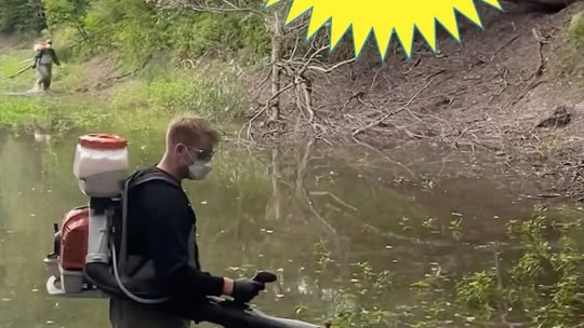 Mesto Bratislava: "Zásah proti komárom v Devíne na 30 000 Mesto Bratislava: „Zásah proti komárom v Devíne na 30 000 m²“