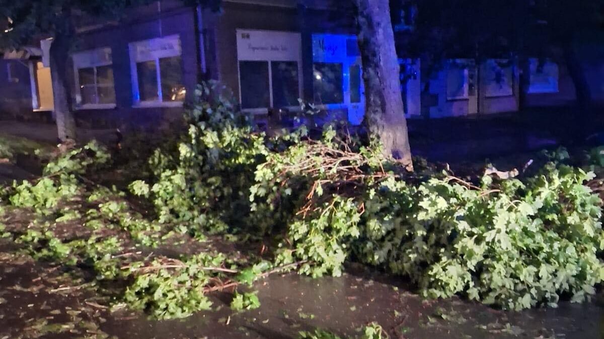 Mesto Handlová: AKTUALIZOVANÝ OZNAM. POZOR! Z DÔVODU KRÁTKEJ INTENZÍVNEJ BÚRKY DOŠLO K VÝPADKU EL. ENERGIE NA Mestská polícia Handlová. MsP KONTAKTUJTE V PRÍPADE POTREBY VÝLUČNE NA TEL. ČÍSLE 0905499384