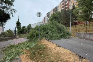 Mesto Košice: BÚRKA ZNIČILA 103 STROMOV
