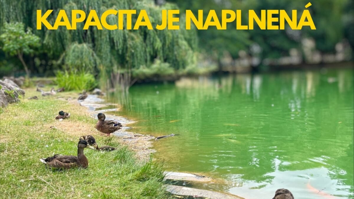 Mesto Košice: „PRECHÁDZKA S ARCHITEKTOM PLNÁ. ĎAKUJEME.“
