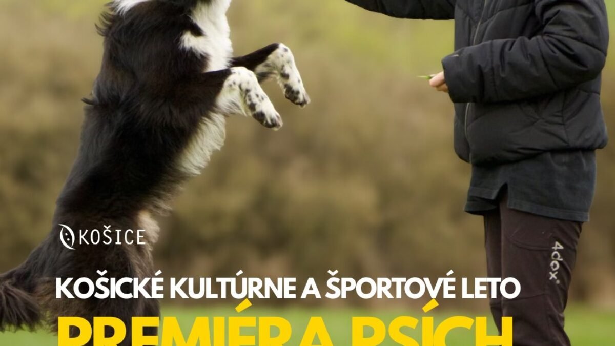 Mesto Košice: ŠPORTOVÝ PIATOK PRINESIE DO MESTSKÉHO PARKU PREMIÉRU PSÍCH ŠPORTOV