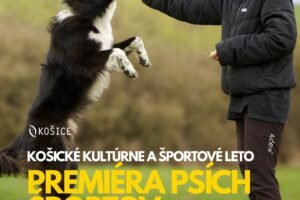 Mesto Košice: ŠPORTOVÝ PIATOK PRINESIE DO MESTSKÉHO PARKU PREMIÉRU PSÍCH ŠPORTOV