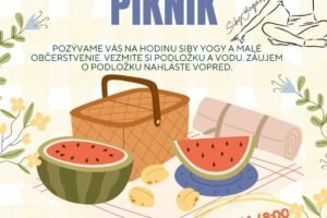 Mesto Zvolen: „Krásne ráno v parku Lanice: cvičenie a piknik“