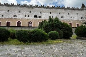 Mesto Zvolen: „Letný rez krov a živých plotov pre vitalitu“