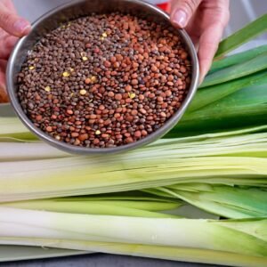 Tento recept vás dostane! Palacinky s pórom! Nesmierne chutný recept!