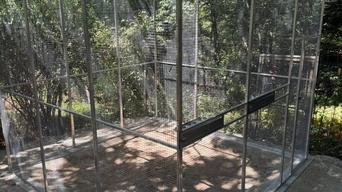 Voliera pre krkavca 3x3x2,5m s dvoma kŕmnymi pultami na 3 misky potiahnutá pletivom esafort.