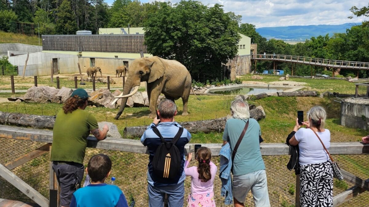ZOO BOJNICE: NA KUS REČI S OŠETROVATEĽOM