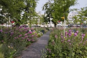 Mesto Nitra: Študijná návšteva vo Vroclave