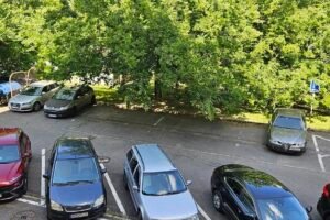 Mesto Nitra: Odkaz pre starostu využíva na podnety umelú inteligenciu