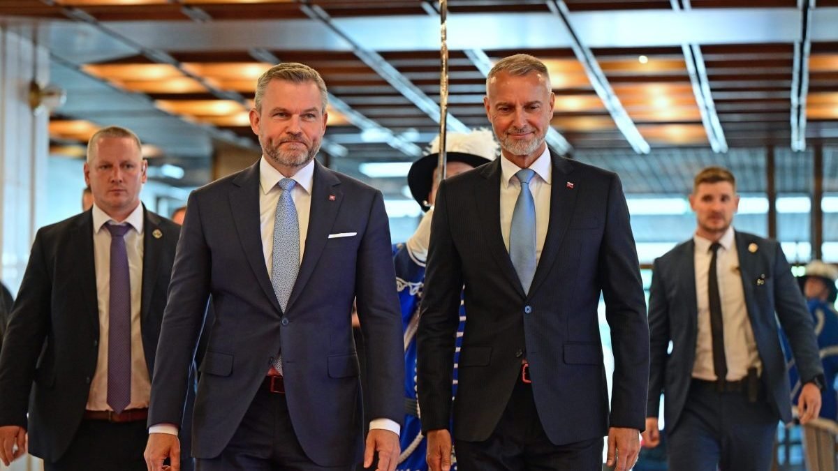 Strana Hlas podala podnet Štátnej komisii pre voľby sama na seba ako názov.
