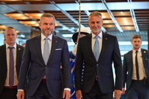 Strana Hlas podala podnet Štátnej komisii pre voľby sama na seba ako názov.