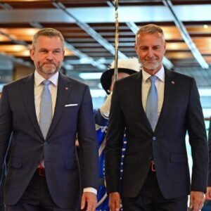 Strana Hlas podala podnet Štátnej komisii pre voľby sama na seba ako názov.