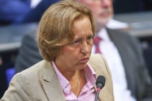 Nemecká krajne pravicová AfD chce získať moc.