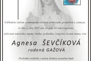 Mesto Trenčín: Agnesa Ševčíková