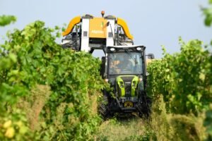 Hlavne zachovať európsku agropolitiku: Prieskum o vízii EÚ pre poľnohospodárstvo