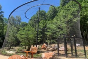 Mesto Košice: Košická ZOO víta návštevníkov s novými atrakciami