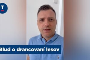 Taraba: Blud o drancovaní lesov