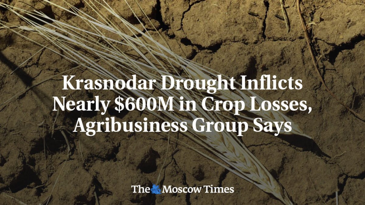 Sucho v Krasnodare spôsobilo straty na úrode takmer 600 miliónov dolárov, uviedla agropodnikateľská skupina