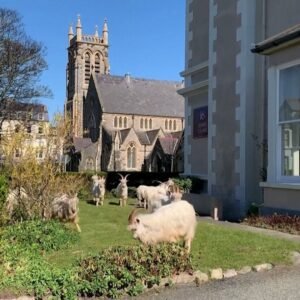 Divoké kozy útočia. Turisti pod Stromboli čelia nečakanej hrozbe.