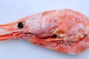 Walmart sťahuje z predaja mrazené krevety, potenciálne rádioaktívne, predávané v...