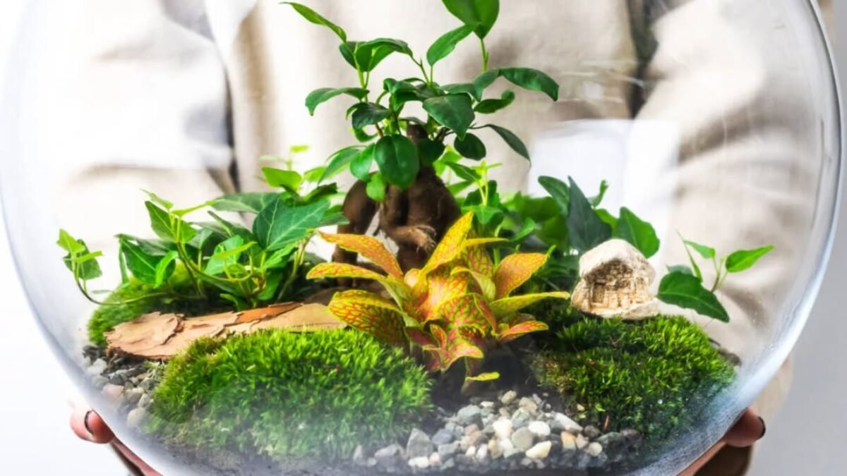 HOOMI: Keď kvety robia domov HOOMI: Keď kvety robia domov