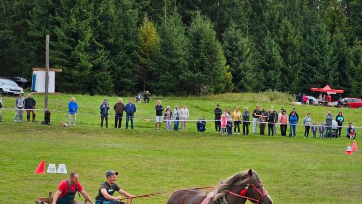 Mesto Liptovský Mikuláš: Začali sa Furmanské preteky pod Bobroveckou Vápenicou. Na 18. ročníku podujatia súťažia koníky v troch kolách, pričom všetky bežne pracujú aj v lese – nejde teda o profesionálnych športovcov, ale o u