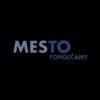 Mesto Topoľčany: Retro je super , ale autobusovú stanicu chceme radšej modernú .