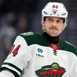 Návrat domov: Česká hviezda z NHL posilní Pardubice