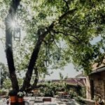 Ze zanedbaného farního dvorku gastronomický ráj. Jak jedna jabloň změnila Bořetice