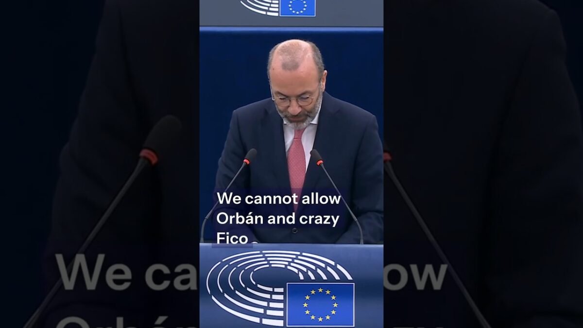 Obrana Európy – Weber: „Nacionalisti nie sú patrioti, hrajú za Moskvu!“
