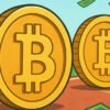 B HODL sa pripája k závodu o bitcoinové rezervy s nákupom 100 bitcoinov.