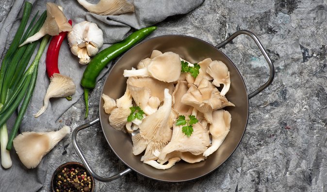 Hlíva ústřičná zlepšuje hladinu cholesterolu a pomáhá s imunitou