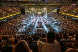 MMA mieri do obývačiek: Oktagon 78 v nemeckej televízii na voľne dostupnom kanál...