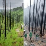 Největší požár v historii NP České Švýcarsko. Boj se živlem, který proměnil krajinu