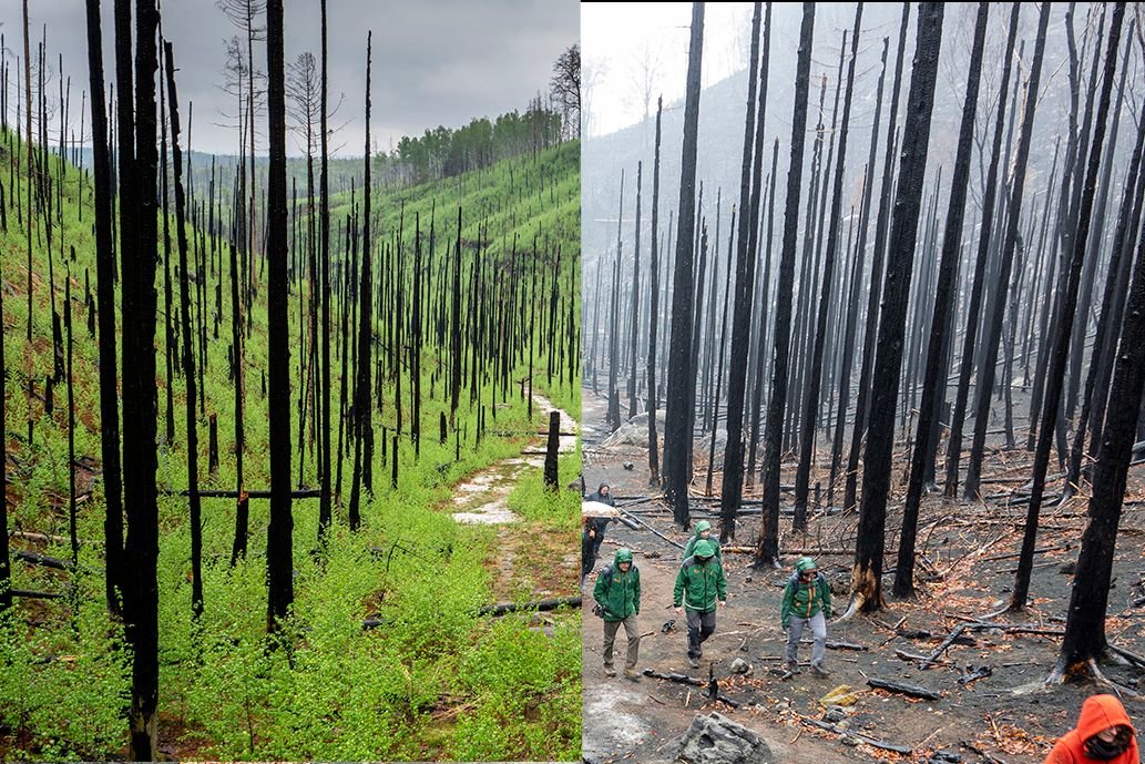 Největší požár v historii NP České Švýcarsko. Boj se živlem, který proměnil krajinu